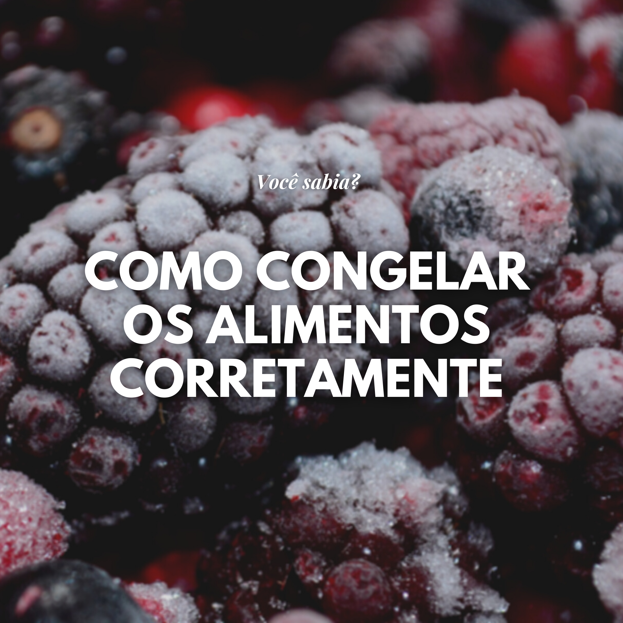 como-congelar-os-alimentos-corretamente