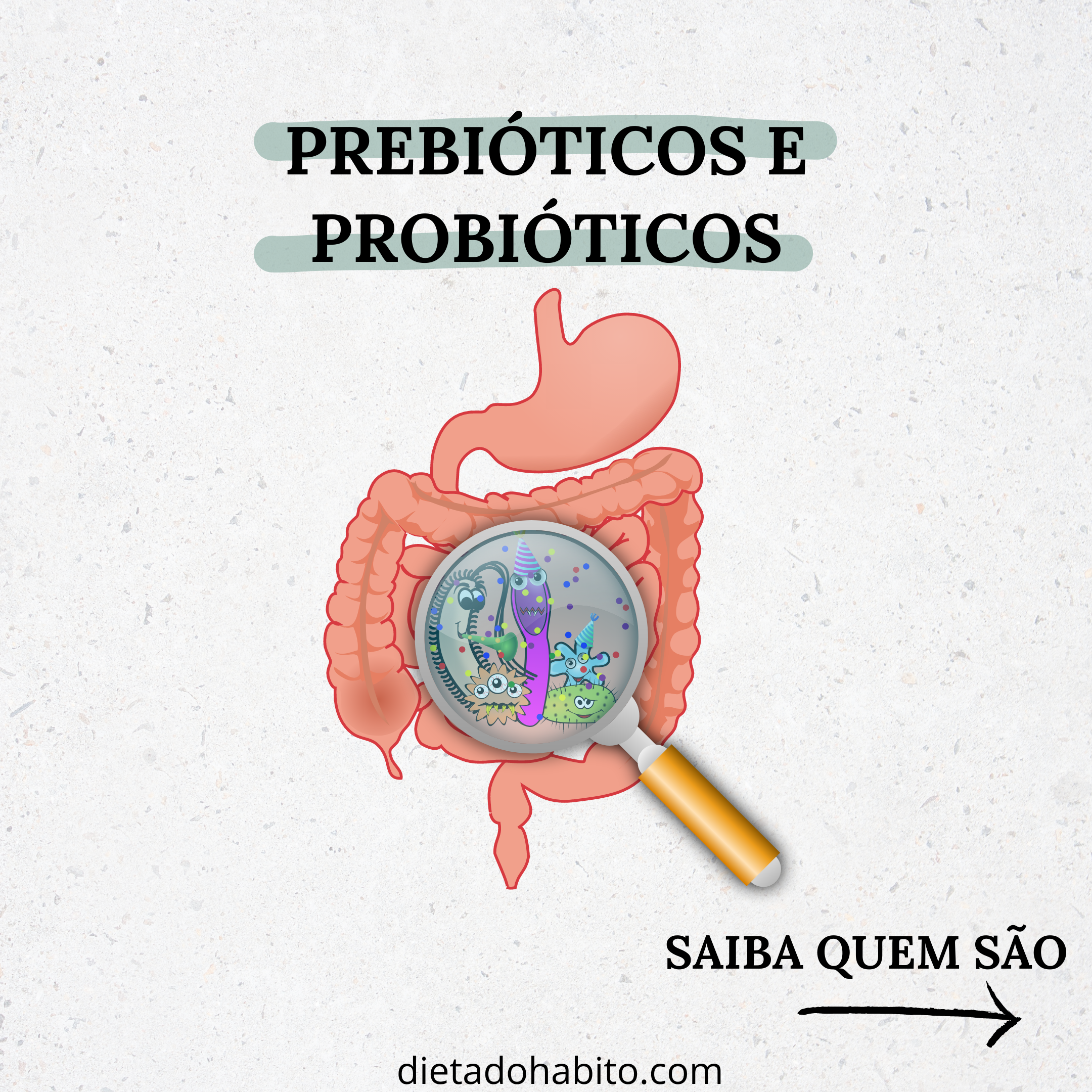 prebioticos-e-probioticos